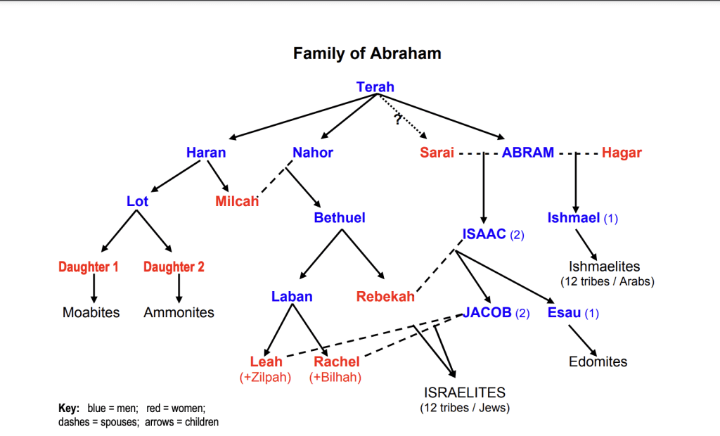 De qué tribu de Israel soy según mi ascendencia familiar 1 arbol genealogico de tribus de israel