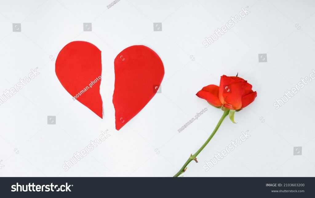 Cómo las frases de "tu partida inspiró mi alma" reflejan el dolor 27 corazon roto entre flores marchitas