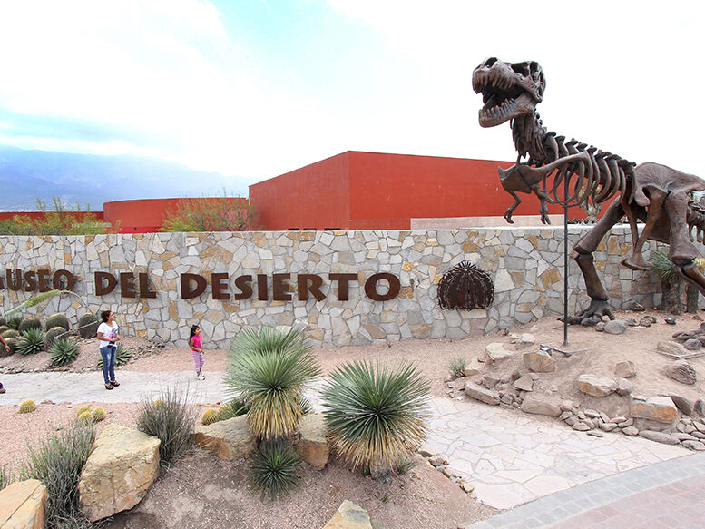 Descubriendo el pasado: Los mejores lugares para estudiar paleontología en México