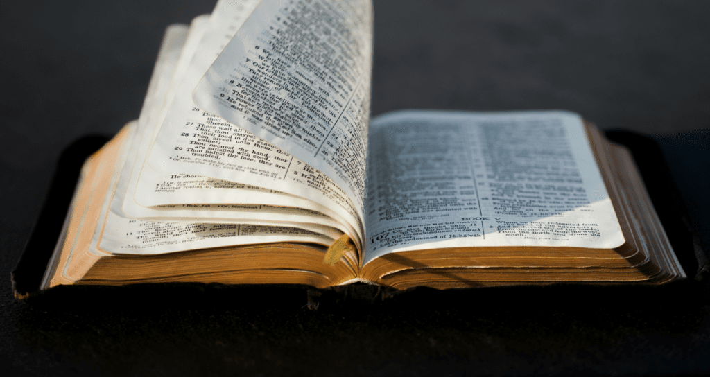 Qué diferencias existen entre una biografÃa y una autobiografÃa 42 dos libros abiertos uno reflejando vida ajena