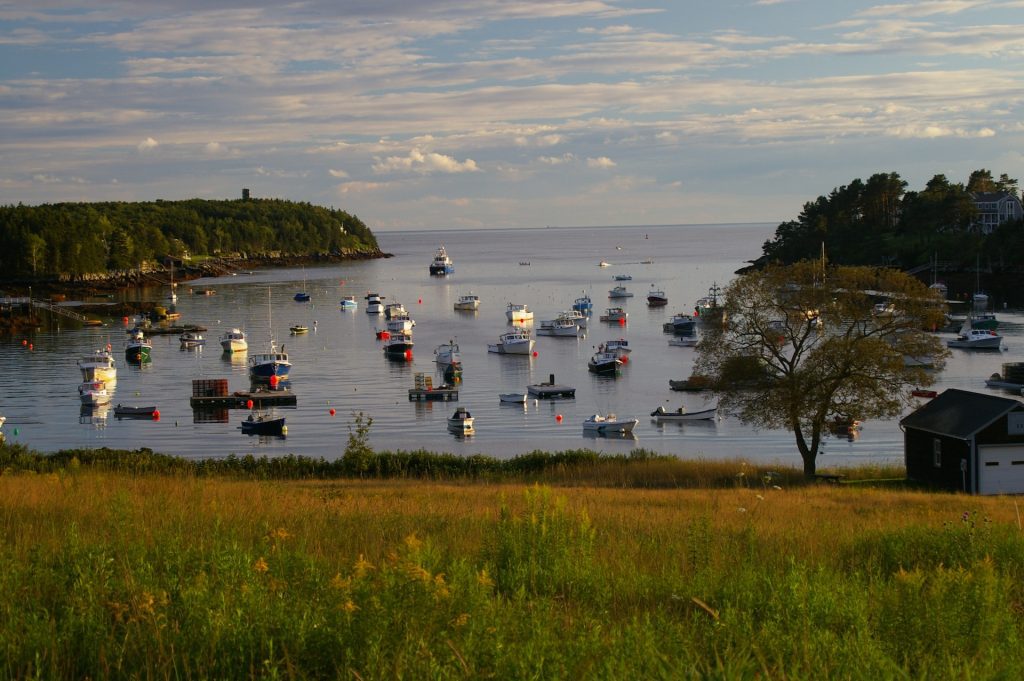 Cómo puedo reclamar el punto de captura en Isla Botín 1 isla botin con paisaje natural y actividades recreativas