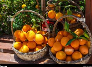naranjas maduras en una cesta de mimbre