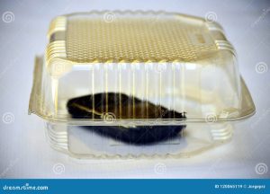 objeto dentro de un recipiente transparente