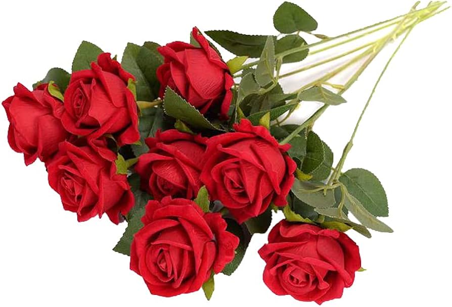 Qué flores son parecidas a las rosas y cómo identificarlas 2 Qué flores son parecidas a las rosas y cómo identificarlas