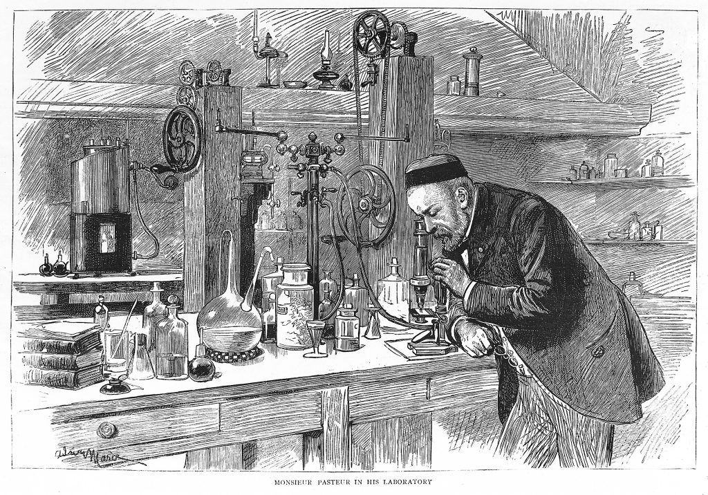 Cuáles fueron las principales aportaciones de Louis Pasteur y en qué años 24 retrato de louis pasteur en su laboratorio
