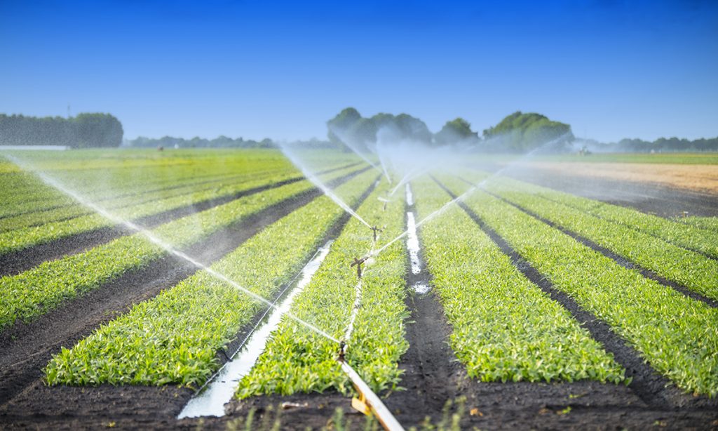 En qué consisten los sistemas de riego para transportar agua a cultivos 7 En qué consisten los sistemas de riego para transportar agua a cultivos