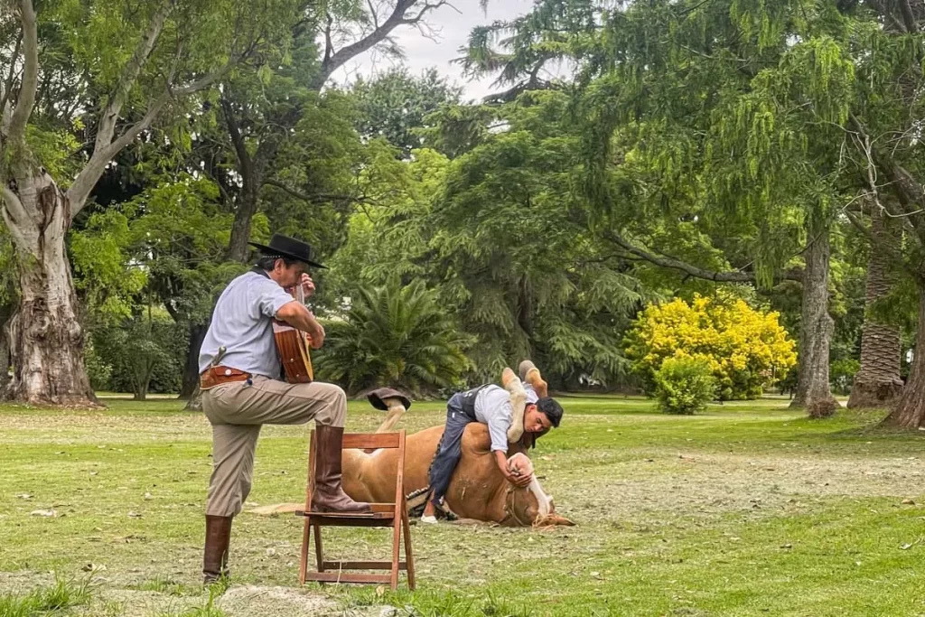 Cuál es el resumen y análisis más completo de Martín Fierro 14 un gaucho leyendo bajo un arbol en el campo