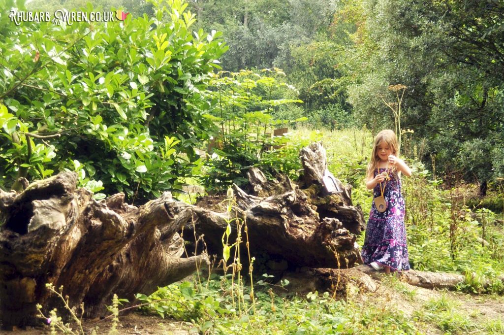 Quién le esconde las cosas a Luna y por qué lo hace 37 una nina buscando tesoros en un jardin